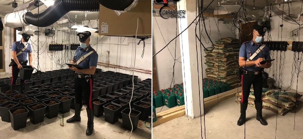 Rubava l'energia elettrica con un allacciamento abusivo per coltivare marijuana in serra: arrestato un 47enne
